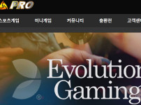 프로 토토사이트 먹튀검증가이드