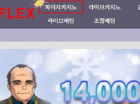 플렉스 토토사이트 먹튀검증가이드