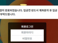 풍선 토토사이트 먹튀검증가이드