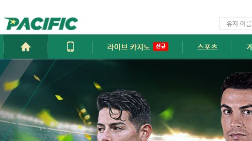 퍼시픽 토토사이트 먹튀검증가이드