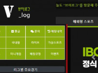 브이로그 토토사이트 먹튀검증가이드