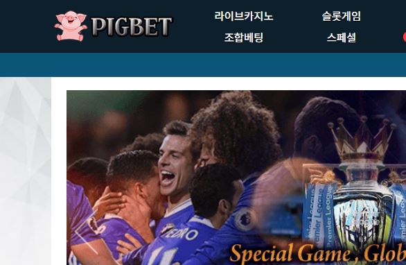 피그벳 토토사이트 먹튀검증가이드