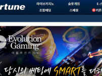 포춘 토토사이트 먹튀검증가이드