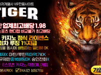 토토사이트 토토-토토사이트-타이거-tiger 먹튀검증가이드