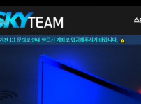 스카이팀 토토사이트 먹튀검증가이드