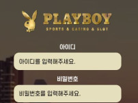 플레이보이 토토사이트 먹튀검증가이드