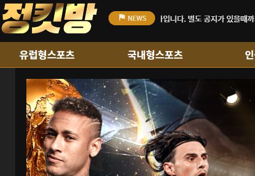 정킷방 토토사이트 먹튀검증가이드