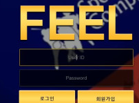 필 토토사이트 먹튀검증가이드