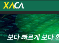 사카 토토사이트 먹튀검증가이드