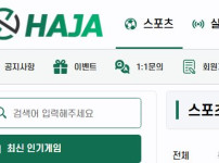 하자 토토사이트 먹튀검증가이드