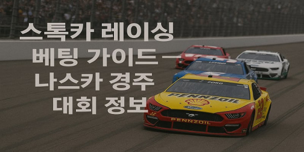 스톡카-레이싱-베팅 먹튀검증가이드
