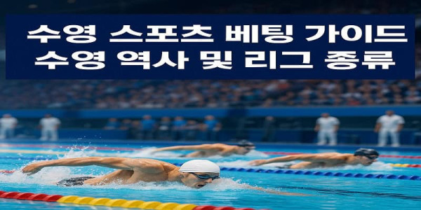 수영-스포츠-베팅-가이드 먹튀검증가이드