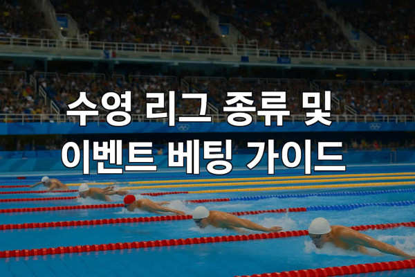 수영-리그-종류 먹튀검증가이드