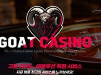 고투카지노 토토사이트 먹튀검증가이드