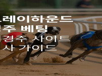 그레이하운드-경주-베팅 먹튀검증가이드