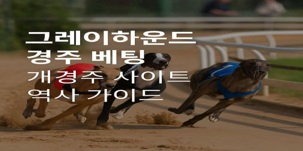 그레이하운드-경주-베팅 먹튀검증가이드