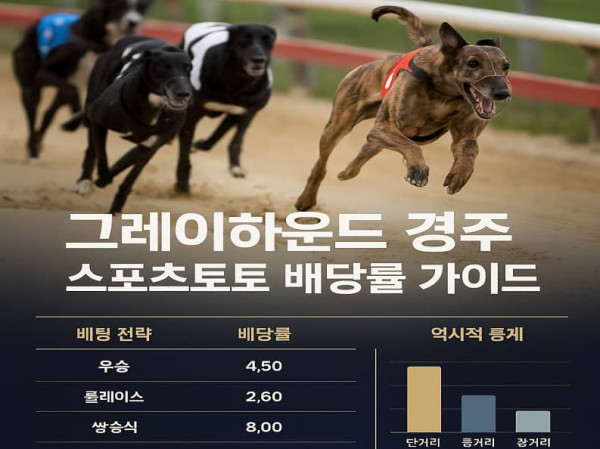 그레이하운드-경주-배당률 먹튀검증가이드