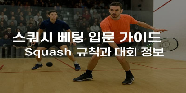 스쿼시-베팅-입문-가이드 먹튀검증가이드