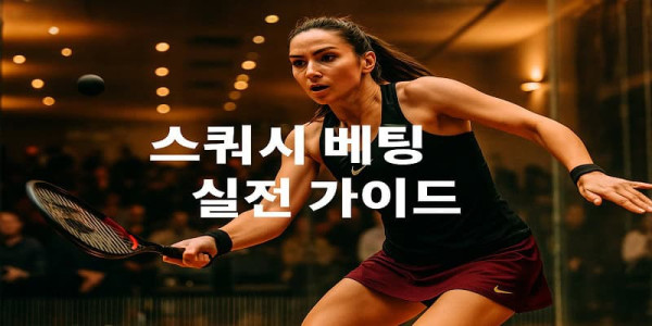 스쿼시-베팅-실전-가이드 먹튀검증가이드