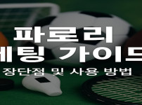 파로리-베팅-전략-분석 먹튀검증가이드