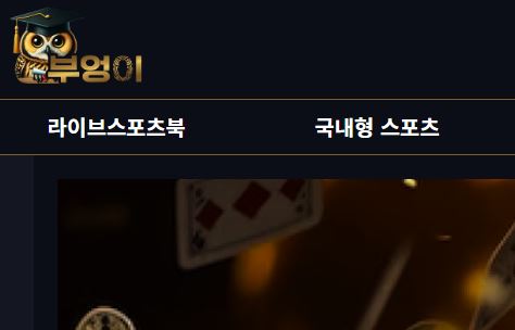 부엉이 토토사이트 먹튀검증가이드
