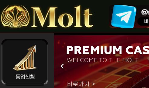 몰트카지노 토토사이트 먹튀검증가이드