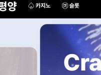 태평양카지노 토토사이트 먹튀검증가이드