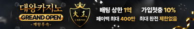 카지노사이트 대왕카지노 먹튀검증가이드