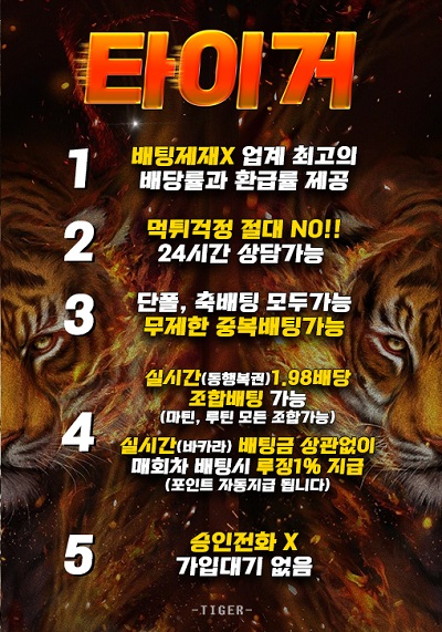 토토사이트 토토-토토사이트-타이거-tiger 먹튀검증가이드