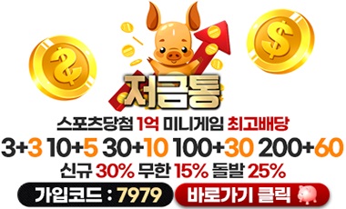 토토사이트 저금통 먹튀검증가이드